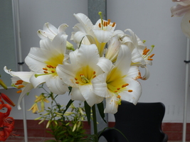 Foto: Dr. Peter Müller